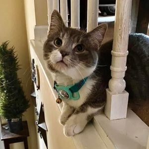 Meet your Posher, Dawn